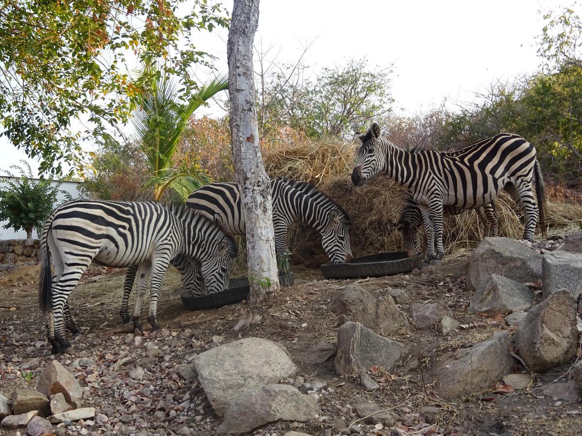 Lake Kariba Inns Siavonga Exterior foto